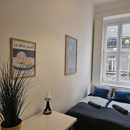 Bohem Center Andrassy Hostel Budapešť